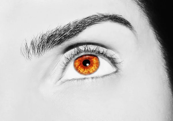 Um olhar bonito e perspicaz olho de mulher. Fechar tiro — Fotografia de Stock