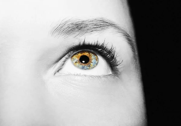 Un hermoso ojo de mujer mirada perspicaz. Primer plano. —  Fotos de Stock