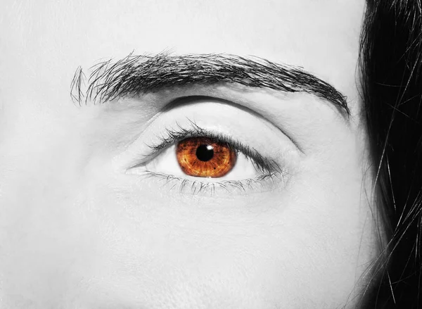 Ein schöner, aufschlussreicher Blick in die Augen der Frau. Nahaufnahme — Stockfoto