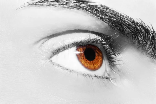 A beautiful insightful look woman's eye. Close up shot — Stock Photo, Image