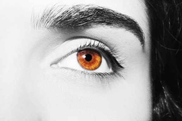 A beautiful insightful look woman's eye. Close up shot — Stock Photo, Image