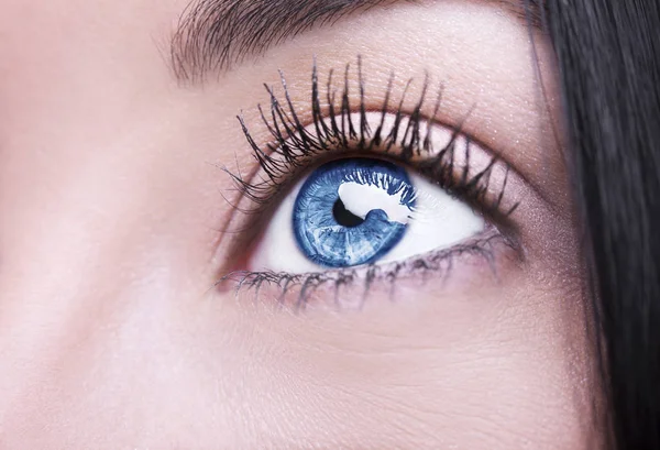 Bella sguardo perspicace occhio di donna marrone — Foto Stock