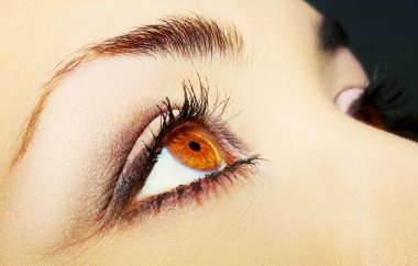 Güzel bir anlayışlı kadın bakışı. Yakın çekim.