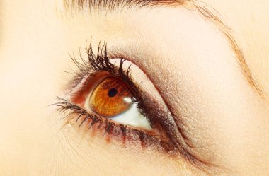 Güzel bir anlayışlı kadın bakışı. Yakın çekim.