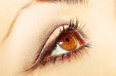 Güzel bir anlayışlı kadın bakışı. Yakın çekim.