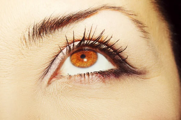 A beautiful insightful look woman's eye. Close up shot — Stock Photo, Image