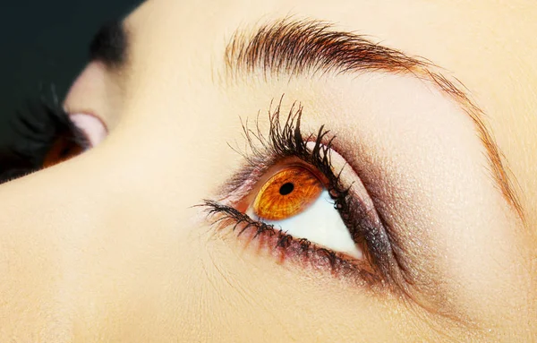 Güzel bir anlayışlı kadın bakışı. Yakın çekim.