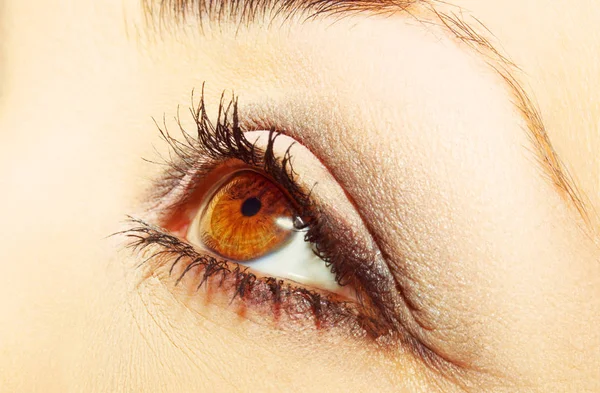 Güzel bir anlayışlı kadın bakışı. Yakın çekim.