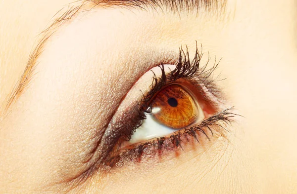 Güzel bir anlayışlı kadın bakışı. Yakın çekim.