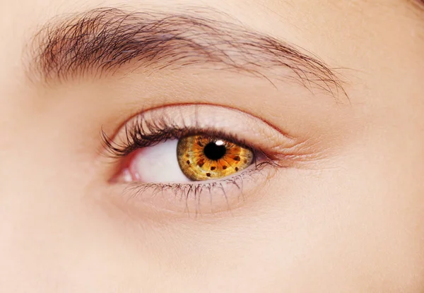 A beautiful insightful look eye. Close up shot — Stock Photo, Image