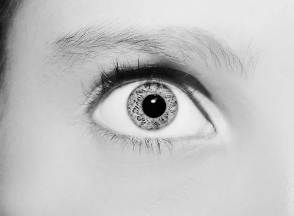 Ein schöner, aufschlussreicher Blick in die Augen der Frau. Nahaufnahme — Stockfoto