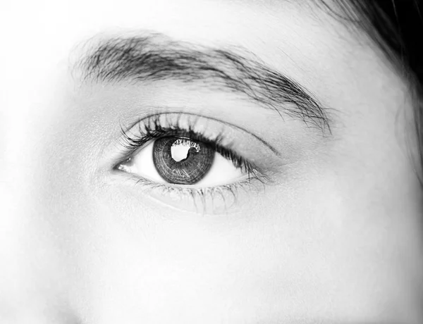 A beautiful insightful look  eye. Close up shot — Stock Photo, Image