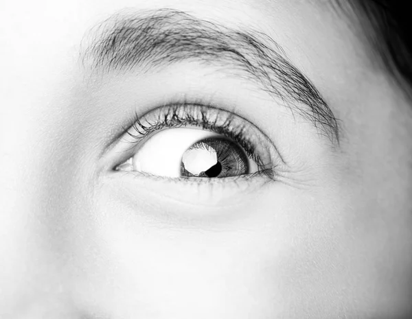 A beautiful insightful look eye. Close up shot — Stock Photo, Image