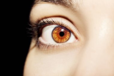 Güzel bir anlayışlı kadın bakışı. Yakın çekim.