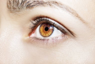 Güzel bir anlayışlı kadın bakışı. Yakın çekim.