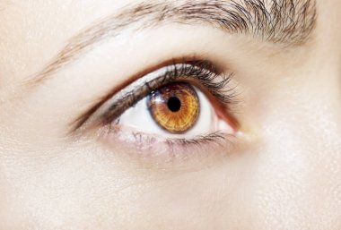 Güzel bir anlayışlı kadın bakışı. Yakın çekim.