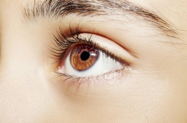 Güzel bir anlayışlı kadın bakışı. Yakın çekim.