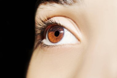 Güzel bir anlayışlı kadın bakışı. Yakın çekim.