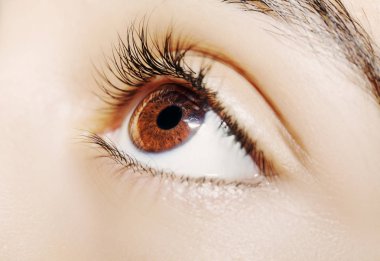 Güzel bir anlayışlı kadın bakışı. Yakın çekim.