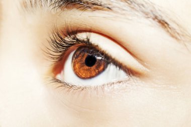 Güzel bir anlayışlı kadın bakışı. Yakın çekim.