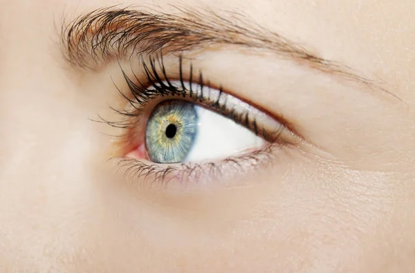 Ein schöner, aufschlussreicher Blick in die Augen der Frau. Nahaufnahme — Stockfoto