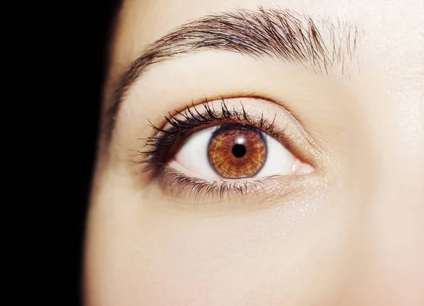 Un hermoso ojo de mujer mirada perspicaz. Primer plano. —  Fotos de Stock