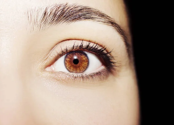 Um olhar bonito e perspicaz olho de mulher. Fechar tiro — Fotografia de Stock