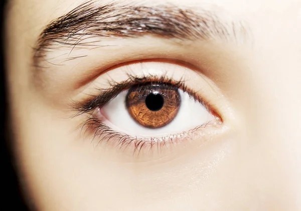Un hermoso ojo de mujer mirada perspicaz. Primer plano. —  Fotos de Stock