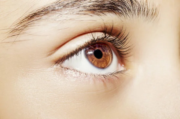 Beautiful Insightful Look Woman Eye Close Shot — Stock Photo, Image