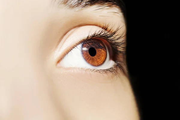 Un hermoso ojo de mujer mirada perspicaz. Primer plano. — Foto de Stock