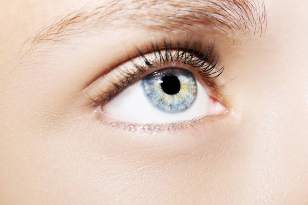 Piękne spojrzenie kobiecego oka. Zbliżenie strzału — Zdjęcie stockowe