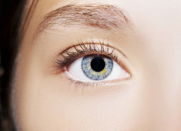 Un bellissimo sguardo perspicace occhio di donna. Colpo da vicino — Foto Stock