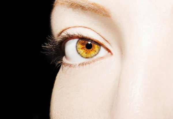 Un hermoso ojo de mujer mirada perspicaz. Primer plano. — Foto de Stock