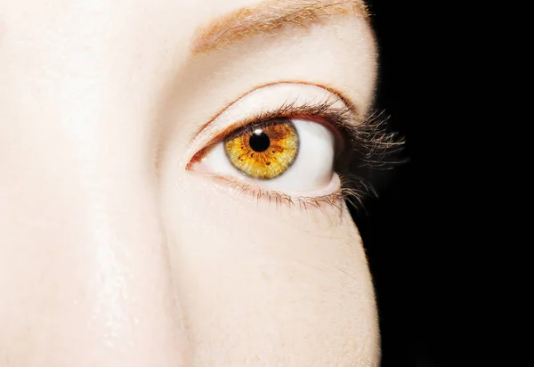 Egy gyönyörű, éleslátó nő szeme. Közelkép. — Stock Fotó