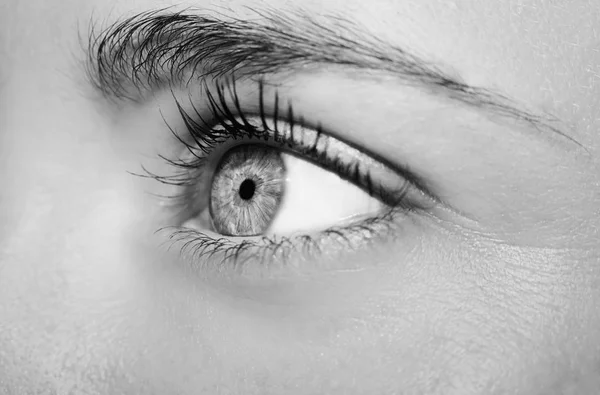 Un hermoso ojo de mujer mirada perspicaz. Primer plano. —  Fotos de Stock