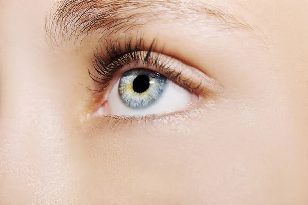 Un hermoso ojo de mujer mirada perspicaz. Primer plano. —  Fotos de Stock