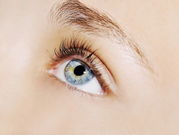 Un hermoso ojo de mujer mirada perspicaz. Primer plano. —  Fotos de Stock