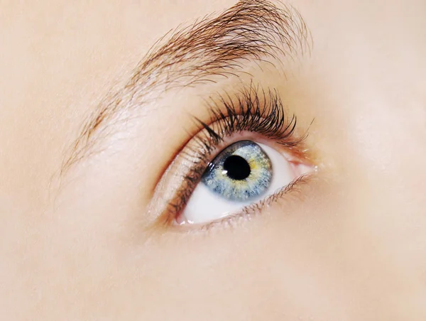 Un hermoso ojo de mujer mirada perspicaz. Primer plano. —  Fotos de Stock