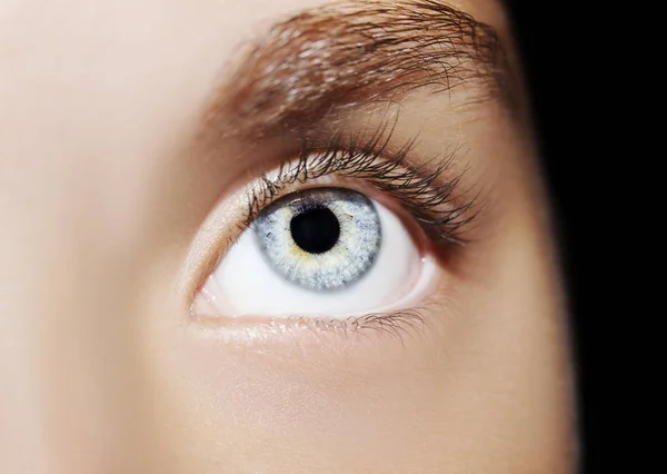 A beautiful insightful look woman's eye. Close up shot Stock Picture