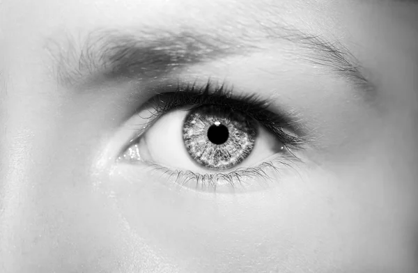 A beautiful insightful look eye. Close up shot — Stock Photo, Image