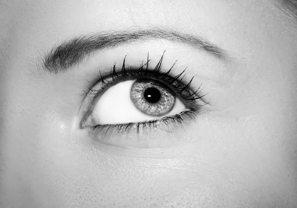 A beautiful insightful look woman's eye. — Stock Photo, Image