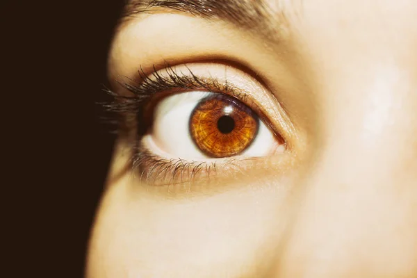 Un hermoso ojo de mujer mirada perspicaz. — Foto de Stock