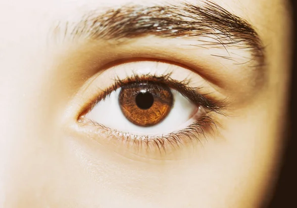 그녀의 아름다운 통찰력있는 눈. — 스톡 사진