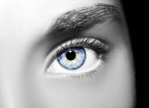 Egy gyönyörű, éleslátó nő szeme.. — Stock Fotó