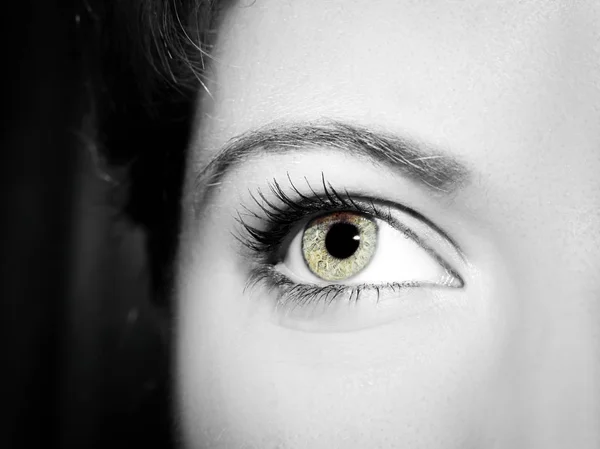 Un hermoso ojo de mujer mirada perspicaz. — Foto de Stock