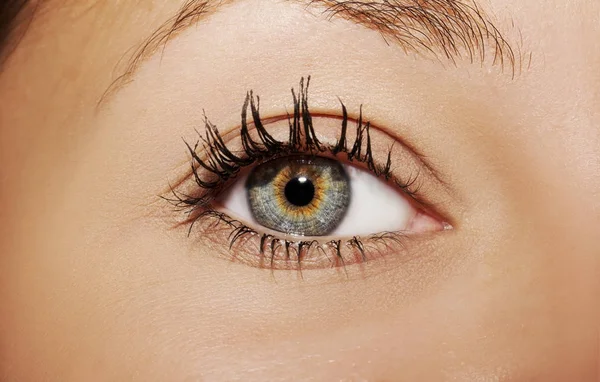 Ein schöner, aufschlussreicher Blick in die Augen der Frau. — Stockfoto