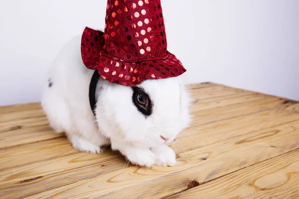 Vit kanin hatt för en häxa på den vita bakgrunden — Stockfoto