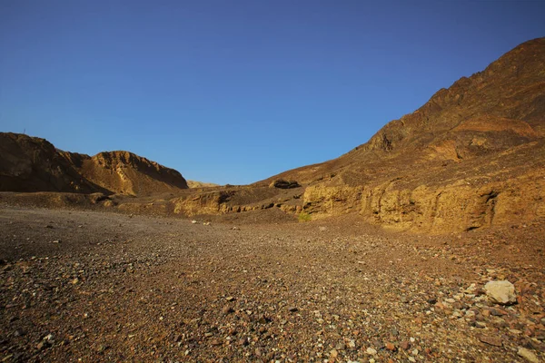 네 겝, 이스라엘의 사막에서 산 — 스톡 사진