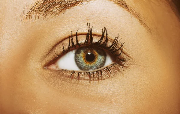 Ein schöner, aufschlussreicher Blick in die Augen der Frau. — Stockfoto