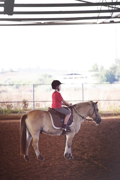 Маленький мальчик на лошади. Первые уроки верховой езды — стоковое фото